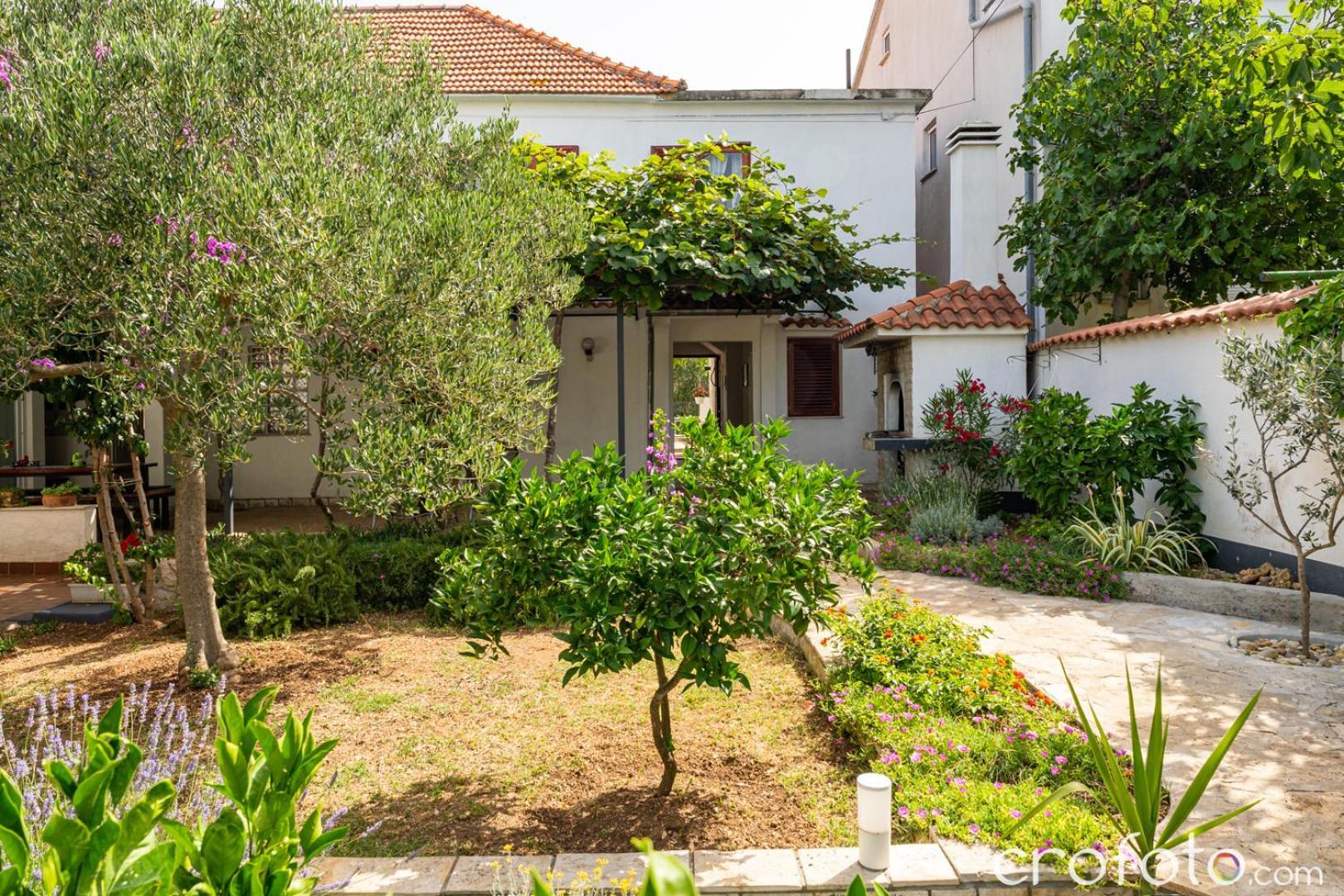 Vinka Appartement Biograd Na Moru Buitenkant foto